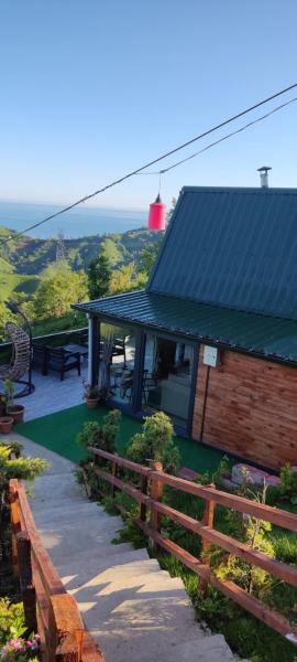 LOVA BUNGALOV